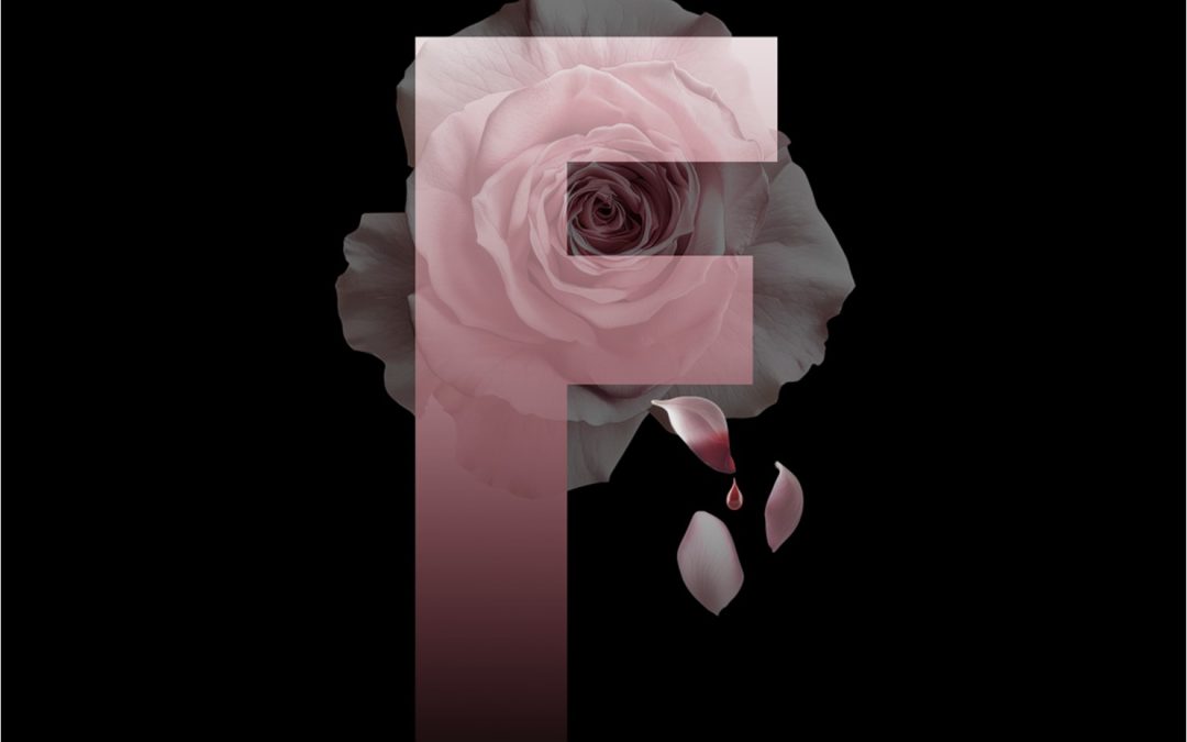 Regroupement des Femmes de la Côte-de-Gaspé ─ F