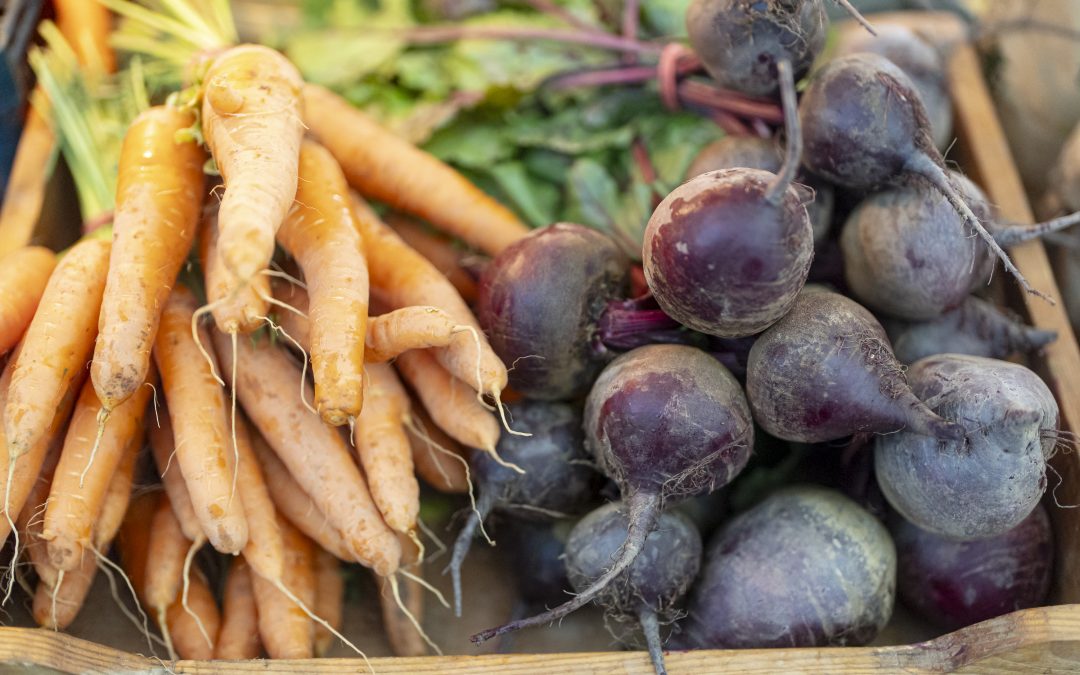 Marché La Cigale et la Fourmi à Carleton-sur-Mer