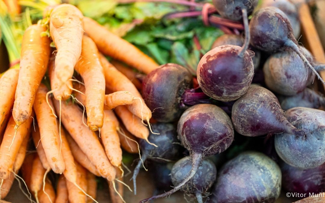 Marché La Cigale et la Fourmi à Maria