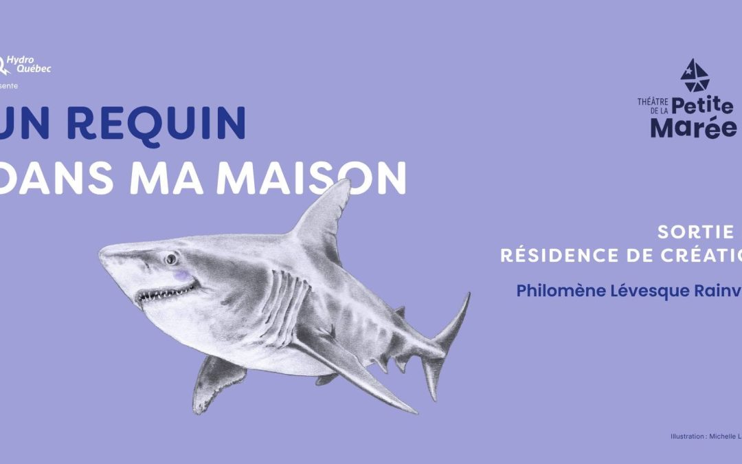 Un requin dans ma maison