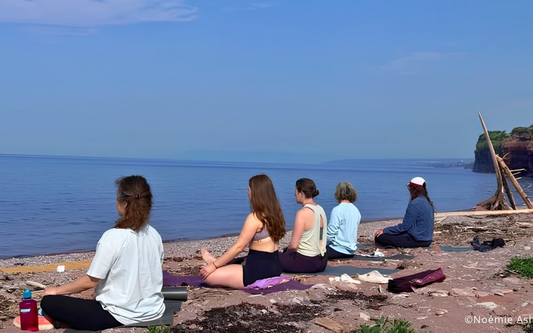 Méditation et Hatha Flow Yoga